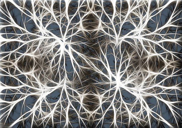 Your Higher Intelligence Quantum LightBody Your Higher Intelligence Quantum LightBody