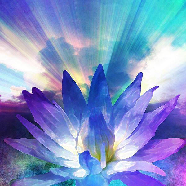 What Would You BE Willing to DO for a whole new REALity? spiritual transforamtion