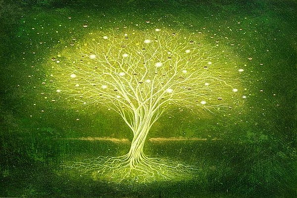 tree of light