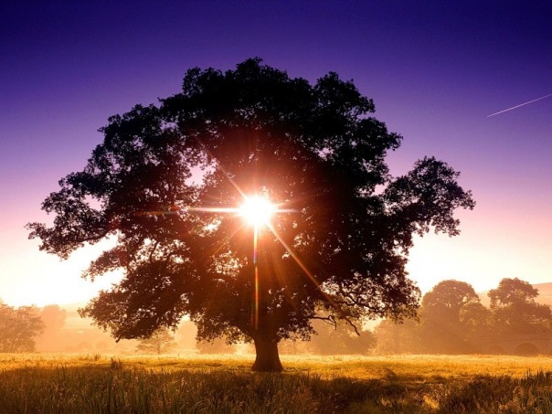 The Planet Earth Is A Living Breathing School Of Opposites picture 780