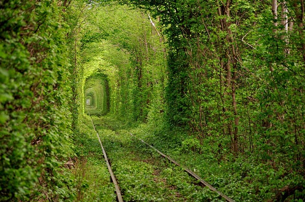 Time Intersection portal