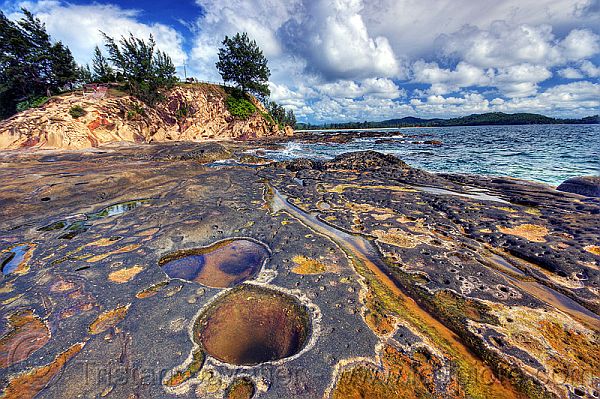 Emotional tidal pools 101 ancient-she