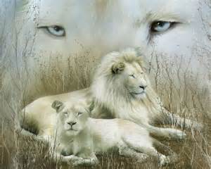 white-lion