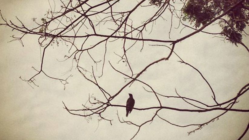 Confessions of a Lost and Tormented Soul confessions of a lost and tormented soul