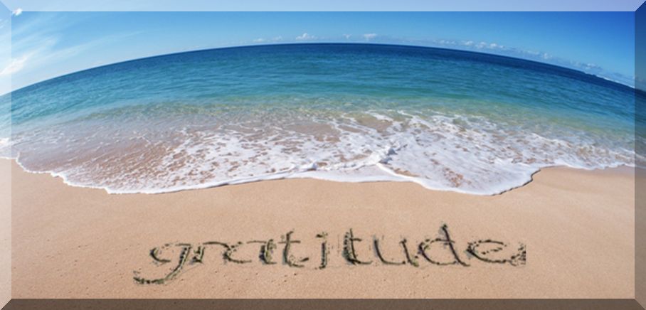 Gratitude gratitude