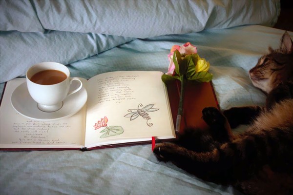 The Healing Power of Journaling journaling