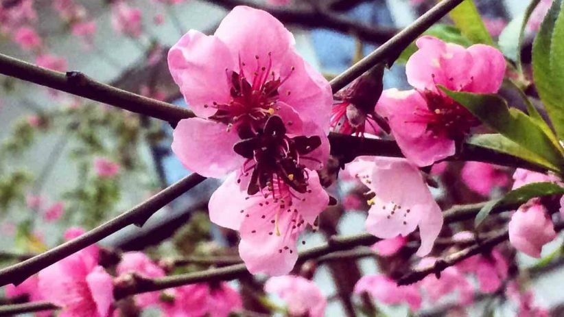 5 Ways Meditation Can Help You Feel Happier at Work meditationhappieratwork