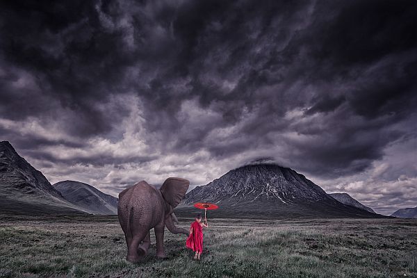 Human Needs And Desires elephant