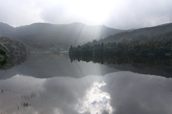 The Importance of Self-Reflection The Importance of Self-Reflection