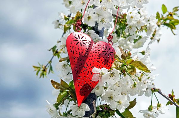 5 Affirmations for Summertime Self-Love 5 Affirmations for Summertime Self-Love