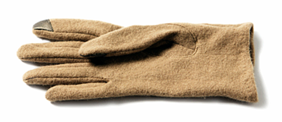 The Glove glove