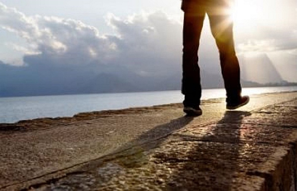 Meditate Everyday meditate-everyday