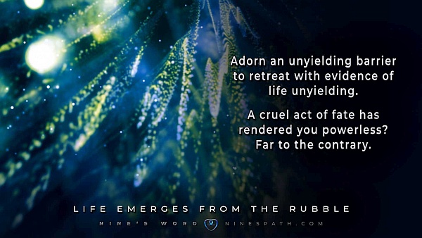 Life Emerges from the Rubble - Pleiadian Guidance