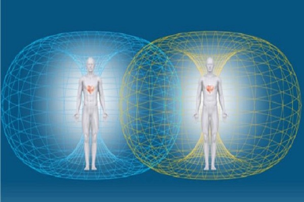 The 4 Laws of Energetic Attraction The 4 Laws of Energetic Attraction