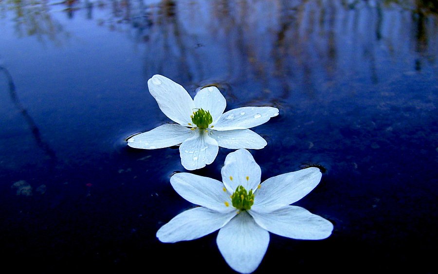 spiritual-unity