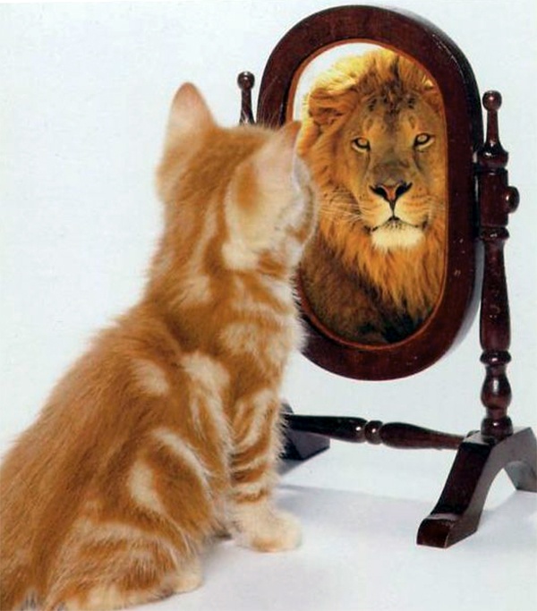 Why Is It So Difficult to Stay Positive? Why Is It So Difficult to Stay Positive?