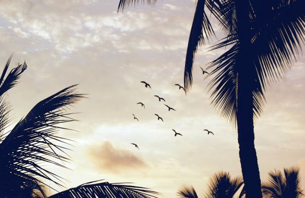 Do Warmer Climates Heat Up Spirituality Too? Do Warmer Climates Heat Up Spirituality Too?