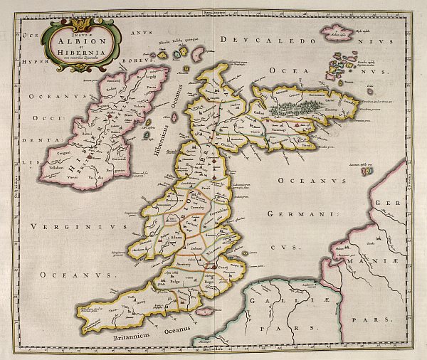 Albion albion