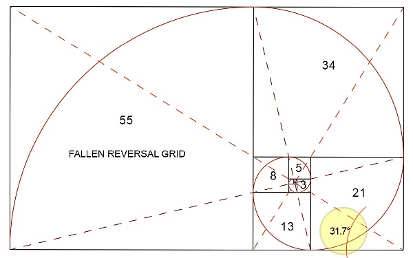 Fibonacci-55 Fibonacci-55