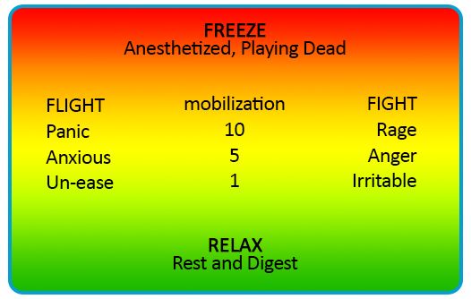 freeze relax chart