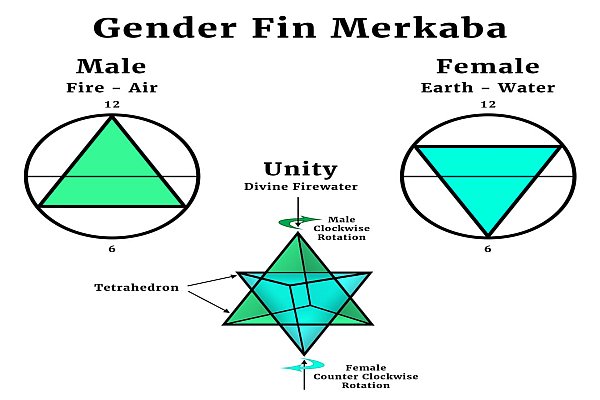 gender fin
