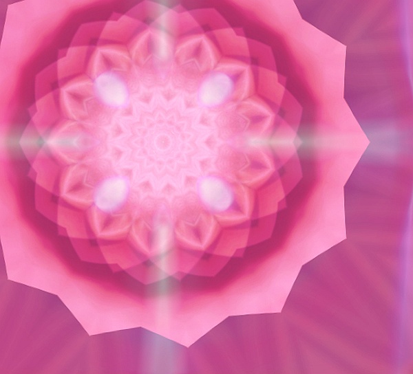Healing our Heart