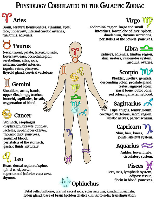 physiology correlated to the galactic zodiac1