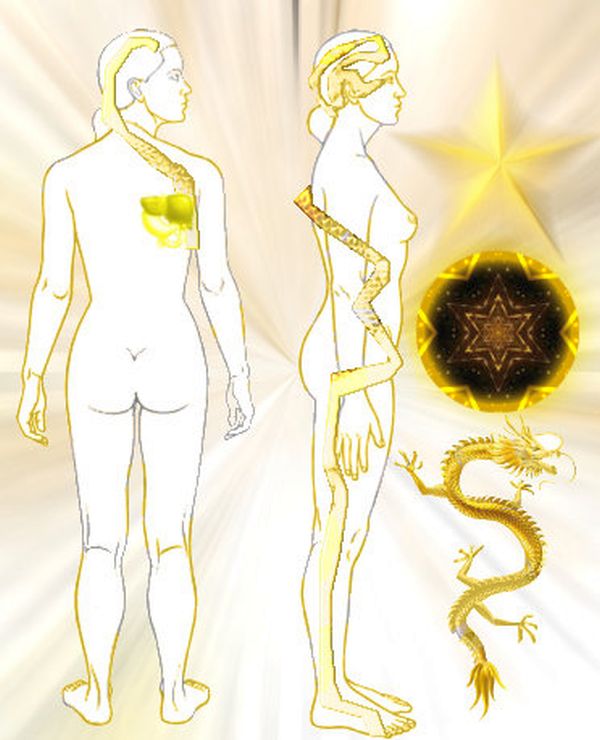 Aquarian Solar Dragon Ouroboros Aquarian Solar Dragon Ouroboros