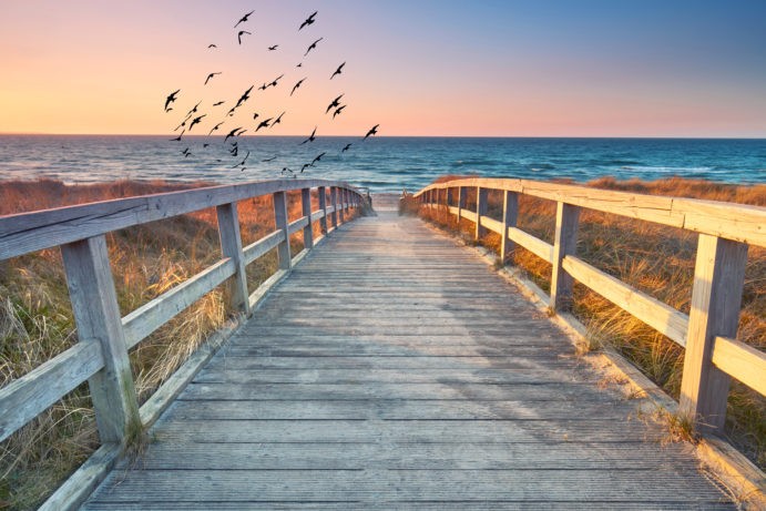 The Spiritual Purpose Behind Addiction The Spiritual Purpose Behind Addiction