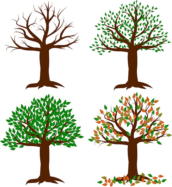 Changing Seasons Changing Seasons