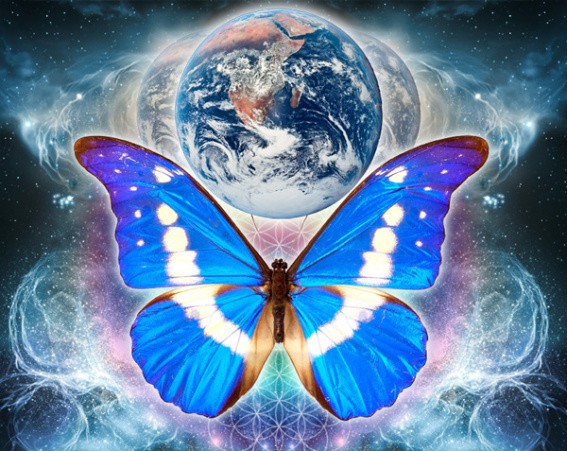 butterfly earth