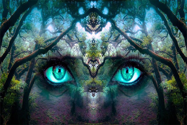 Imagine You Are Extraordinary Imagine You Are Extraordinary