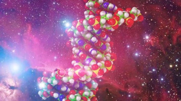Navigate August Opportunities dna