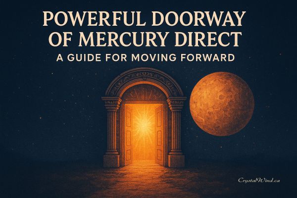 Mercury Direct Portal Guide for Forward Momentum