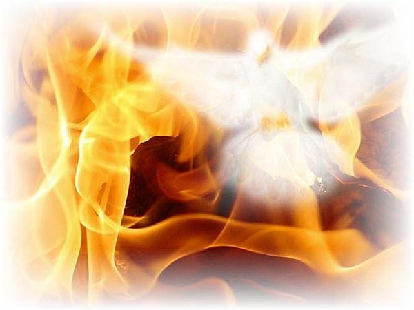 Freedom from the flames fiery-dove