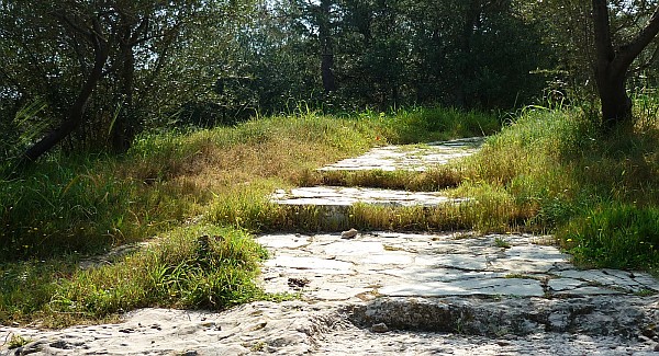 steps and path