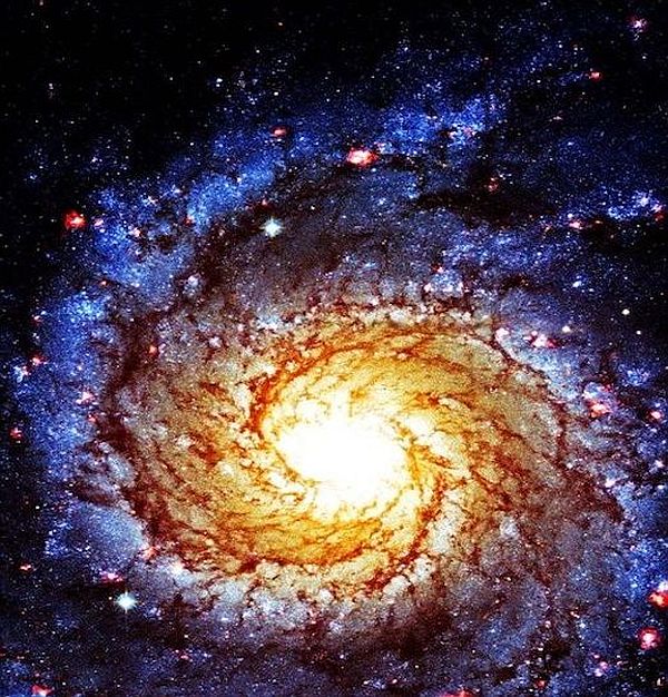 Engaging the Imaginal Cells Engaging the Imaginal Cells