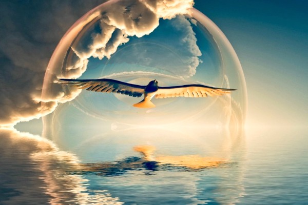Focus on Your Healing Focus on Your Healing