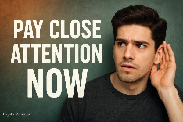 Pay Close Attention Now