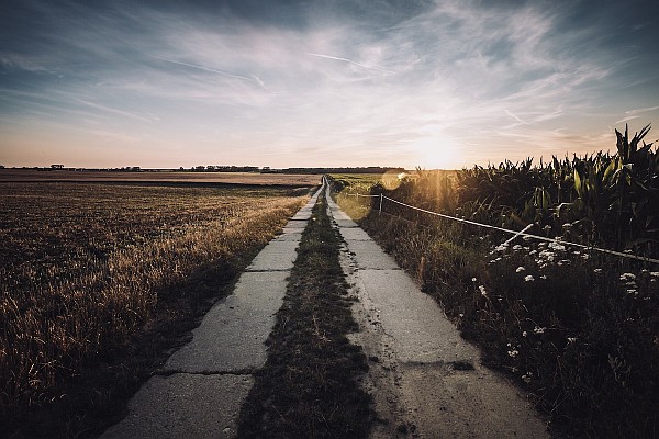 The Middle Way The Middle Way