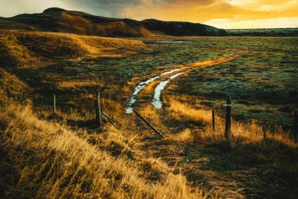 Your Sense of Identity is Shifting Your Sense of Identity is Shifting