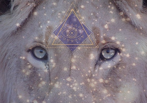 Energy Report Update ~ The Lion’s Gateway and Portal is Open!