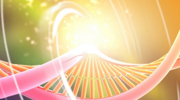 Crystalline Codons: Completing the Bridge Crystalline Codons: Completing the Bridge