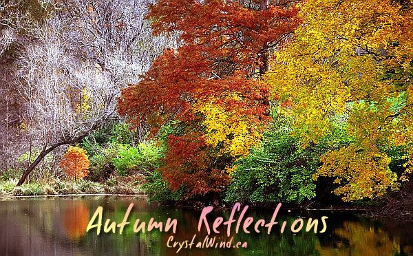 Autumn Reflections Autumn Reflections