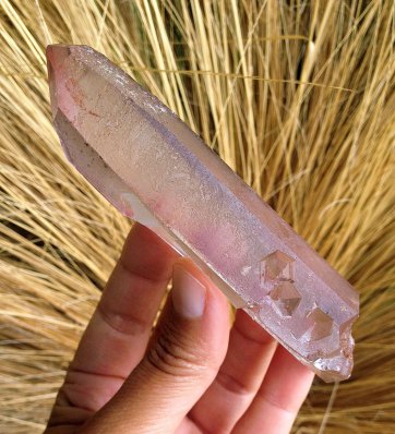 strawbery-lemurian