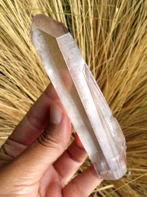 strawberry-lemurian-2