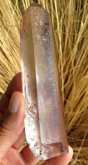 strawberry-lemurian-3