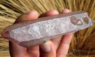 strawberry-lemurian