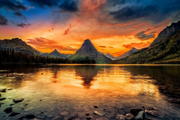 Equinox Message: The Divine Intelligence Behind All Life Equinox Message: The Divine Intelligence Behind All Life
