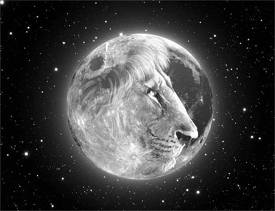 Dream Big! LEO New Moon